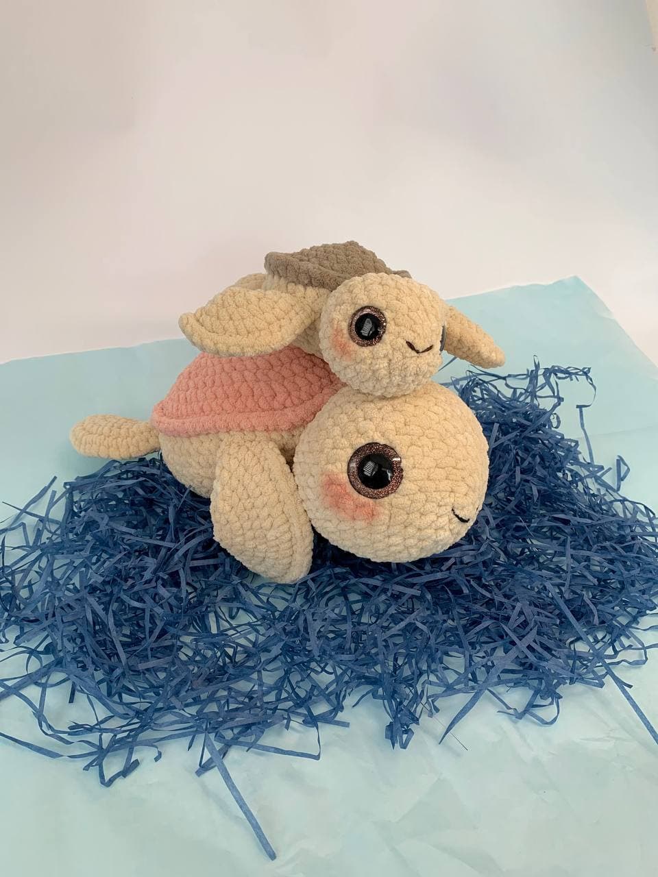 Foto de Little Turtle - photo_2026-05-19 11.20.17